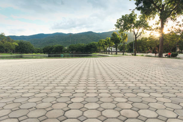 Best Local Driveway Pavers  in Wakefield, NE